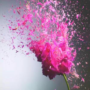 I Dont Wanna Loose You