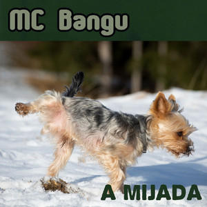 A Mijada
