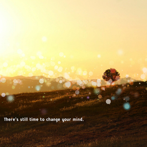 고요함의 즐거움