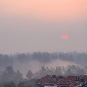 破碎在冬日里的誓言