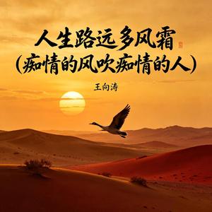 人生路远多风霜（痴情的风吹痴情的人）