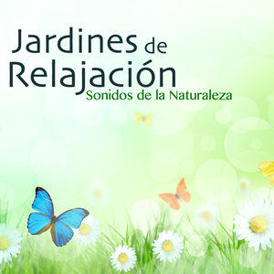 Karesansui (Jardín Zen Japonés)