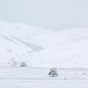 在阳光的草地上