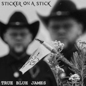 Hands In The Air (feat. Will Bush Doof)