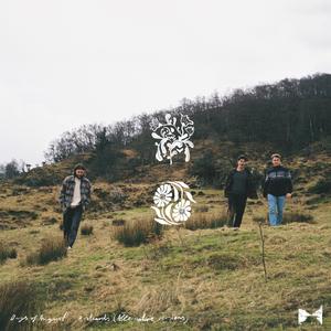 Starlings (Alternative Version)