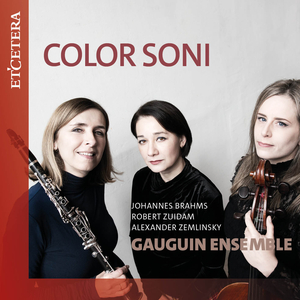 Trio for Clarinet, Cello and Piano in D Minor, Op. 3: I. Allegro ma non troppo