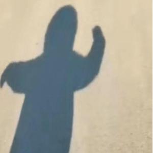 你如白马踏京城