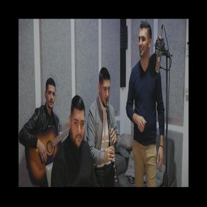 Rritu Karajfile Latin Pro