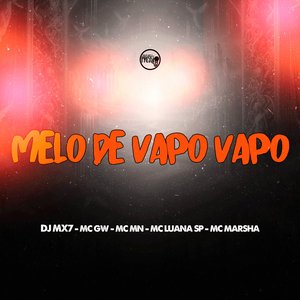 Melô de Vapo Vapo (feat. MC Luana SP & MC Marsha)
