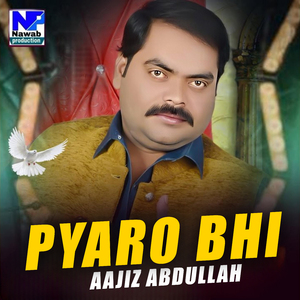 Pyaro Bhi
