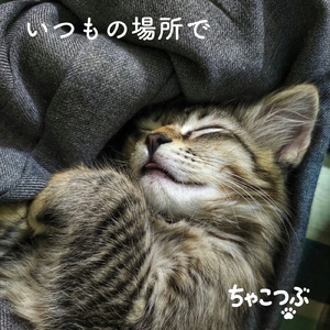 いつもの場所で