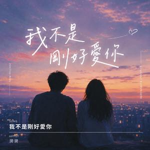 我不是剛好愛你