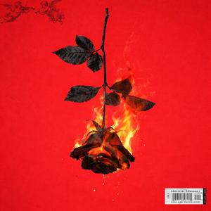 Fuego al corazon (feat. Duende Fl & Tony)