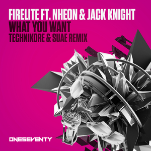 What You Want (Technikore & Suae Remix - Extended)
