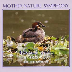 森のポエム-カイツブリ-