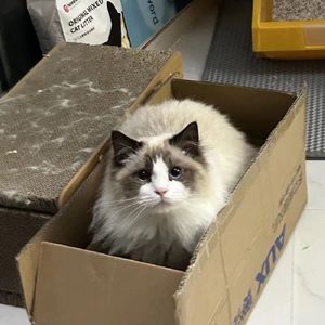 舔（prod. by Morrow x IOF）