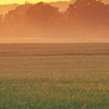 无奈不爱你 (18)