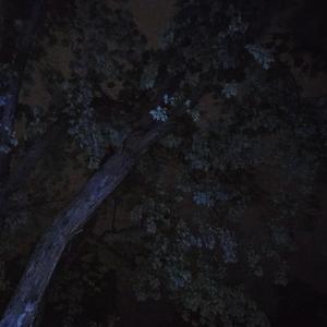 The Lamb, With Heavy Eyes