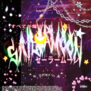 SAILOR MOON*｡･:☾*:･ﾟ★