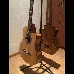 Guitarra y su sombra