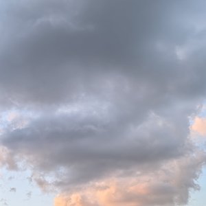 爱的追逐