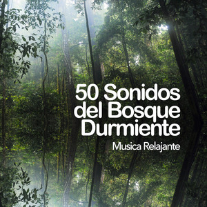 Perfect Woodland Stream