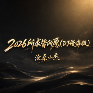 2026所求皆所愿(DJ慢嗨版)