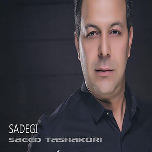Sadegi