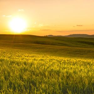 Stillness to the Sky