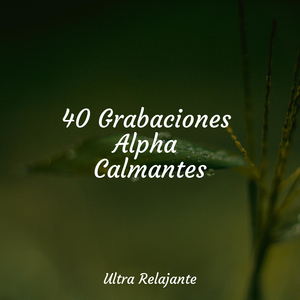 Tranquilidad Burbujeante