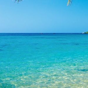 颜人中-夏夜最后的烟火（月枕枝头眠- remix）