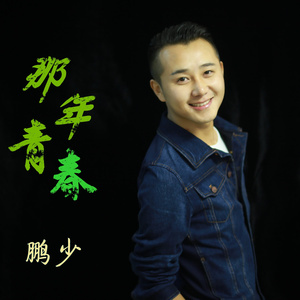 那年青春 (伴奏)