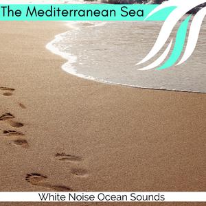 Oceanic Serenity Sea Waves