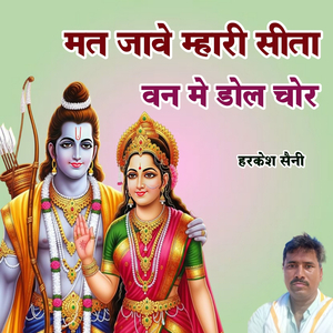 मत जावे म्हारी सीता वन मे डोल चोर