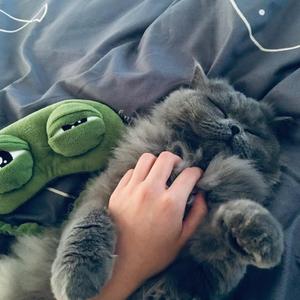 Right Now （0.7x）