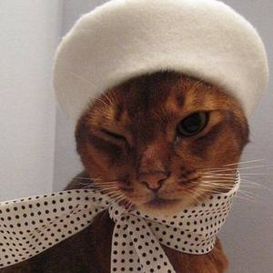 都市丽人生存报告