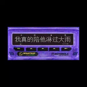 Double ZZZ-归于人海（LZYremix）