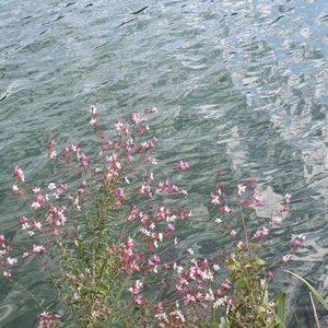 미안한 마음 (Inst.)