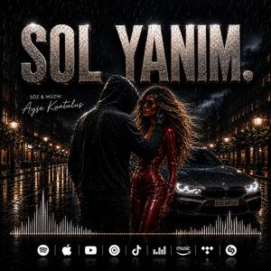 SOL YANIM