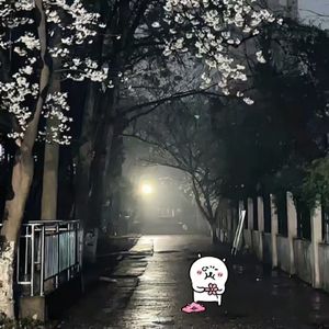 形容（Cover._沈以诚）