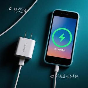 你是充电器 我是手机