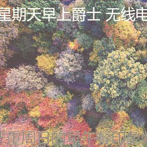 微妙的轻松的周日心情