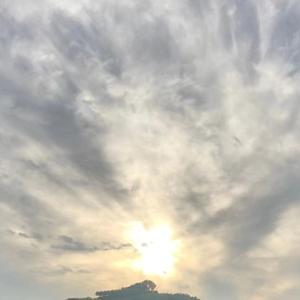 都走