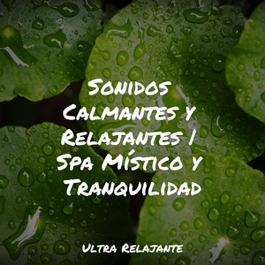 Deslizamientos De Hielo