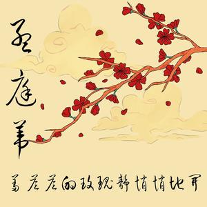 羞答答的玫瑰静悄悄地开