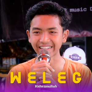 Weleg