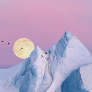 终身美丽（翻自郑秀文）