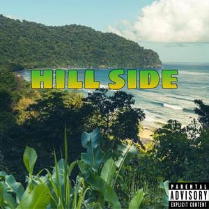 HILL SIDE (hill and gully)