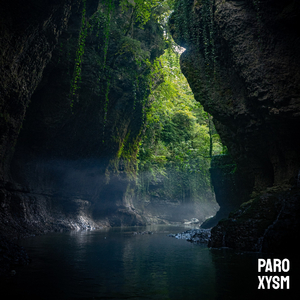 Subterranean (Original Society Remix)