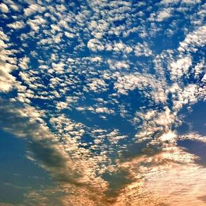 给我一个理由忘记